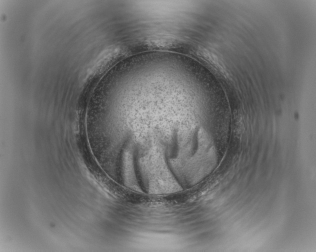 X0000088600738200706081352