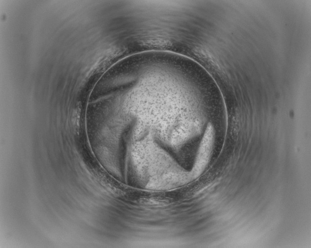 X0000088600739200706081352