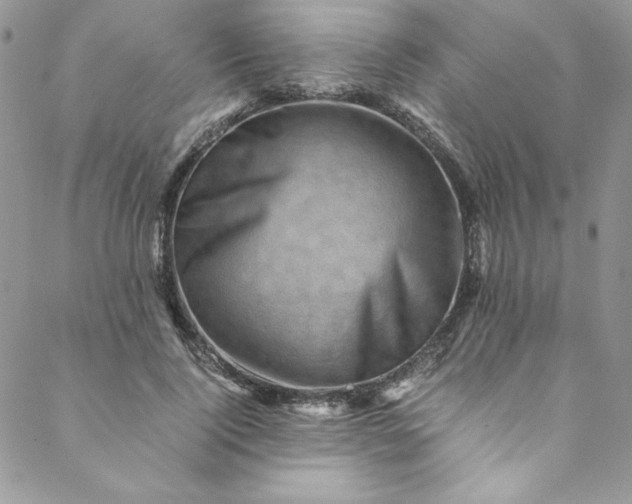 X0000088600740200706081352