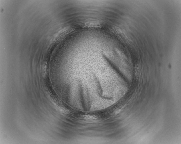 X0000088600741200706081352