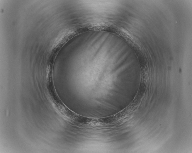 X0000088600742200706081352