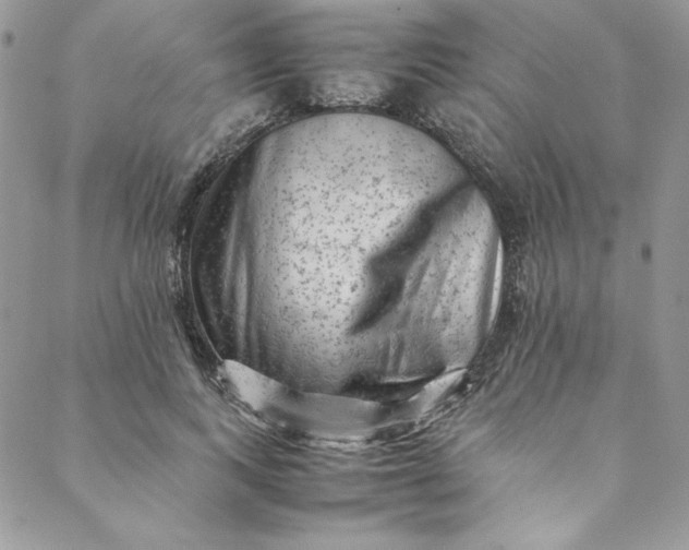 X0000088600743200706081352