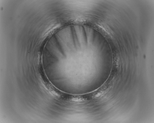 X0000088600744200706081352