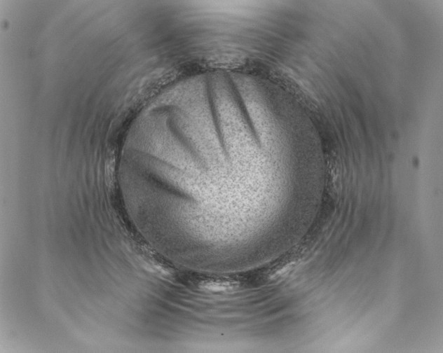 X0000088600745200706081352