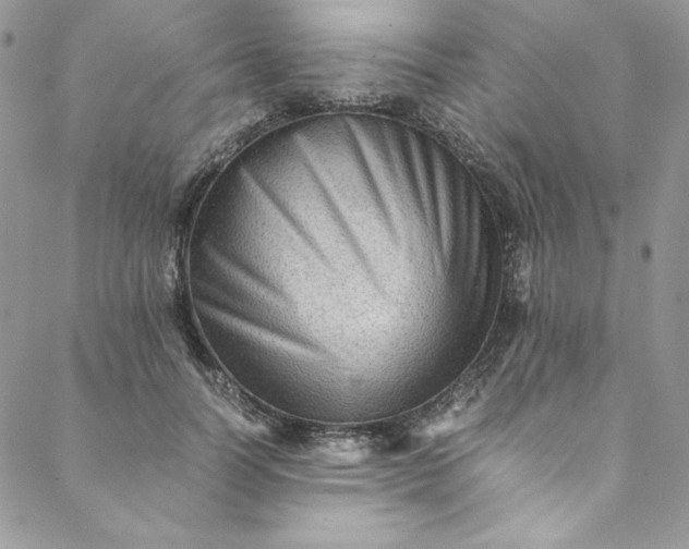 X0000088600746200706081352