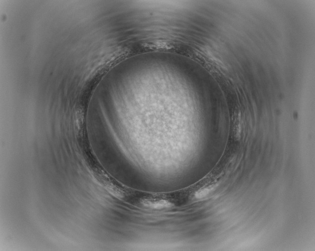 X0000088600747200706081352