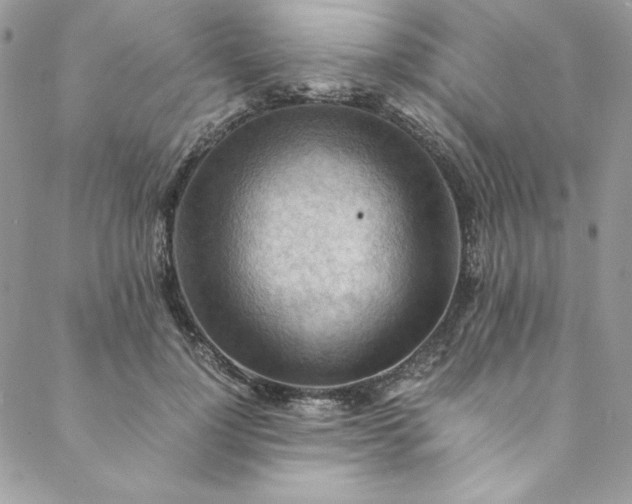 X0000088600748200706081352