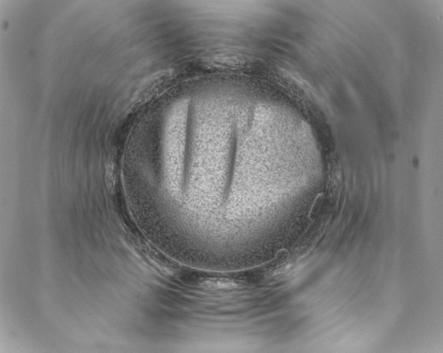 X0000088600749200706081352