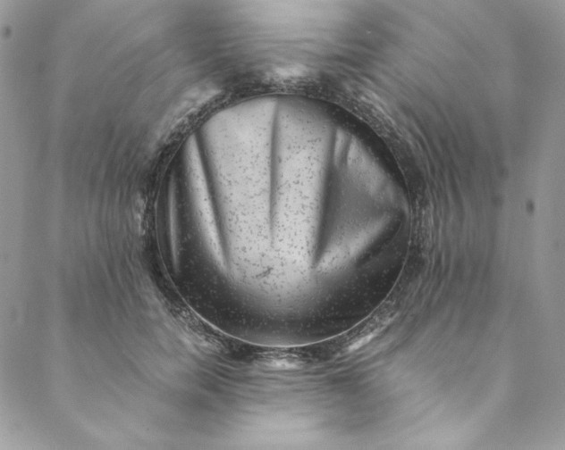 X0000088600750200706081352