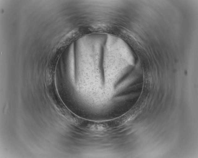 X0000088600751200706081352