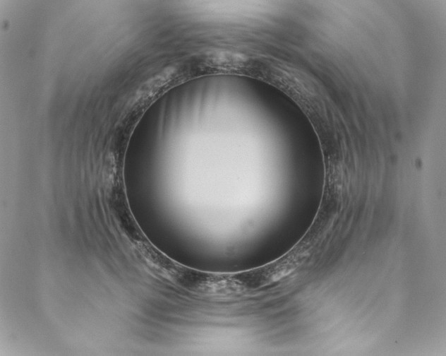 X0000088600752200706081352