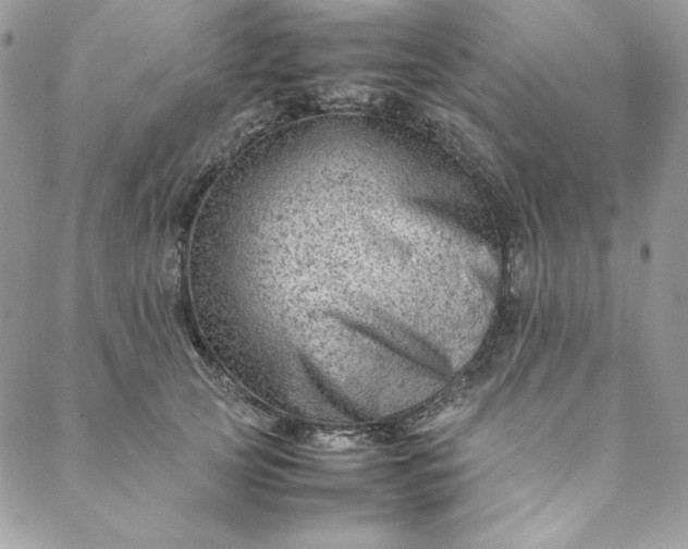 X0000088600753200706081352