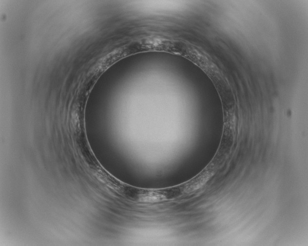 X0000088600754200706081352