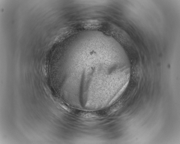 X0000088600755200706081352