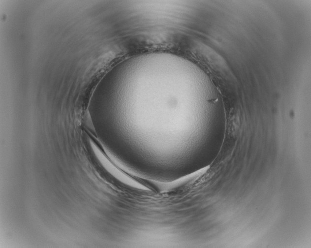 X0000088600756200706081352