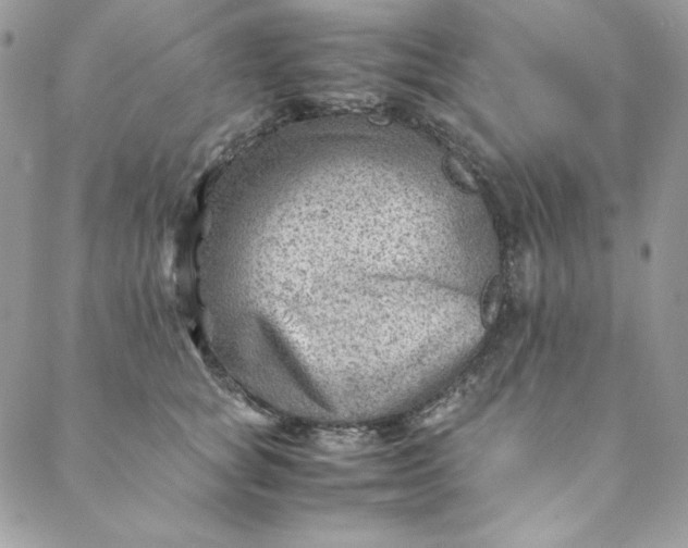 X0000088600757200706081352