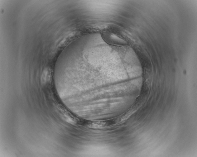 X0000088600758200706081352