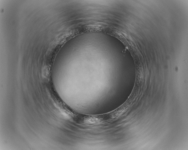 X0000088600759200706081352