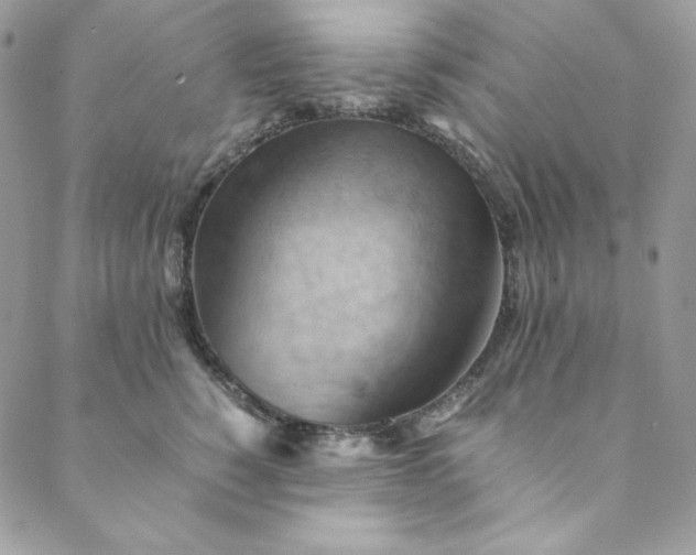 X0000088600760200706081352