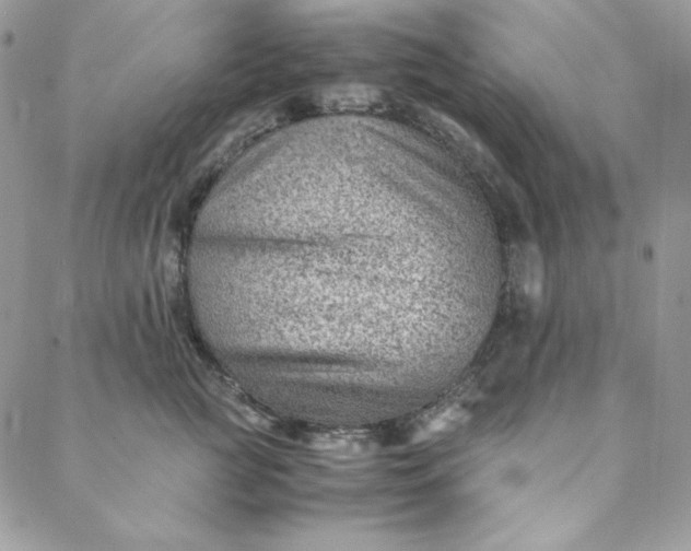 X0000088600761200706081352