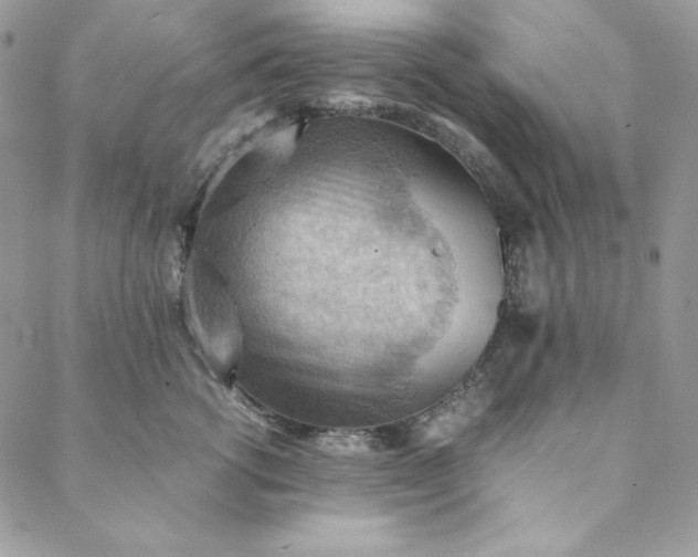 X0000088600762200706081352