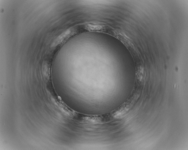 X0000088600763200706081352