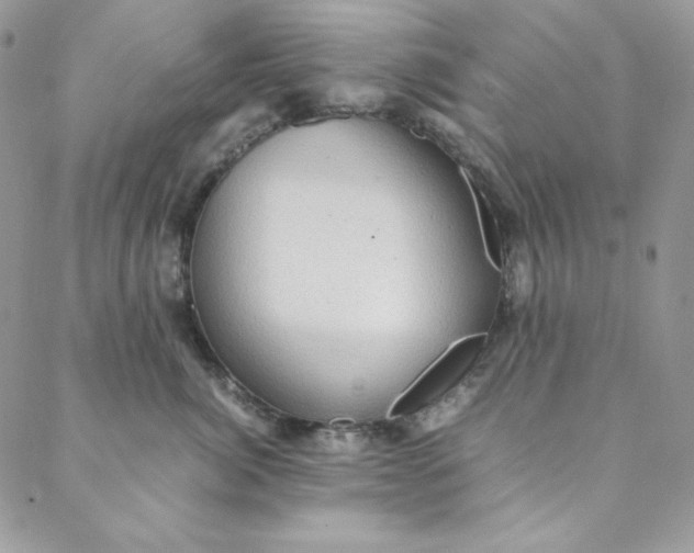 X0000088600764200706081352