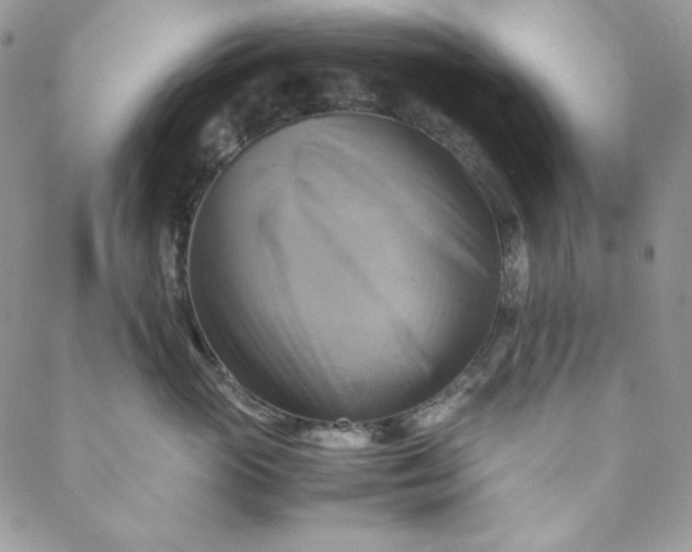 X0000088600765200706081352