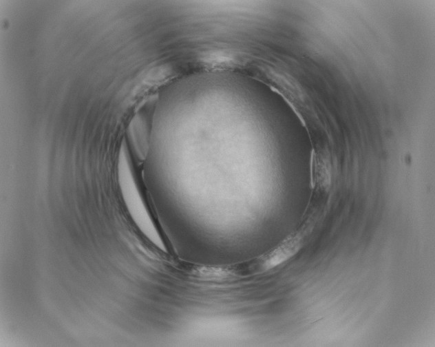 X0000088600766200706081352