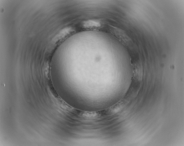 X0000088600767200706081352