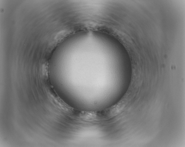 X0000088600768200706081352