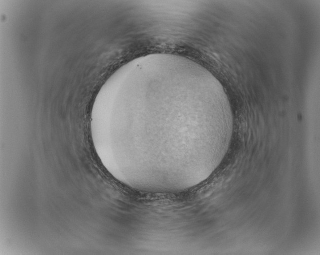 X0000088600769200706081352