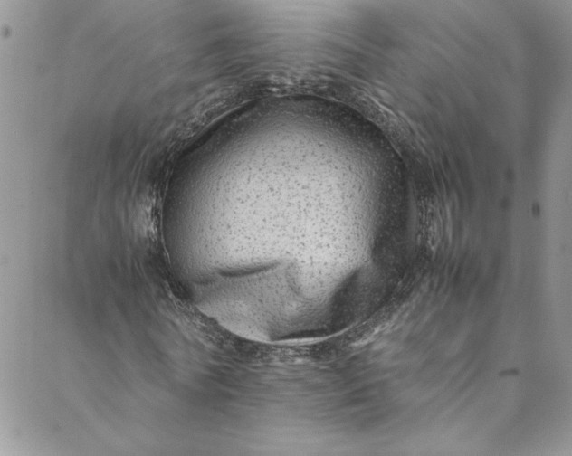 X0000088600770200706081352