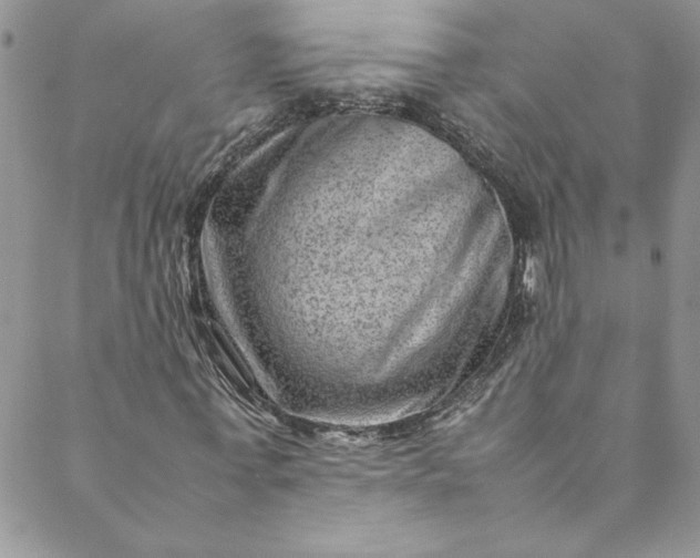 X0000088600771200706081352