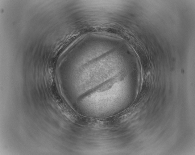 X0000088600772200706081352