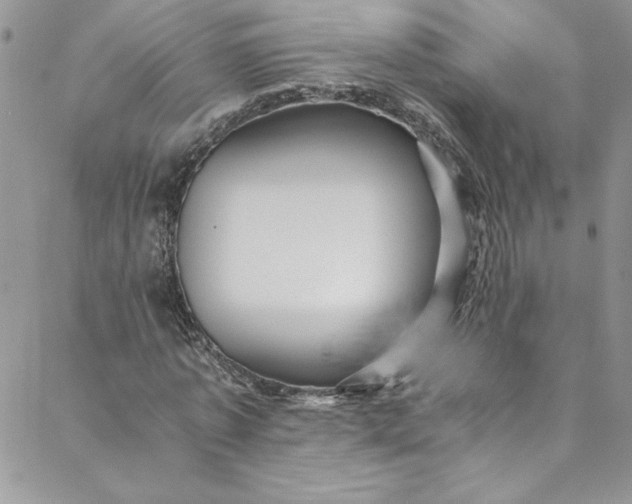 X0000088600773200706081352