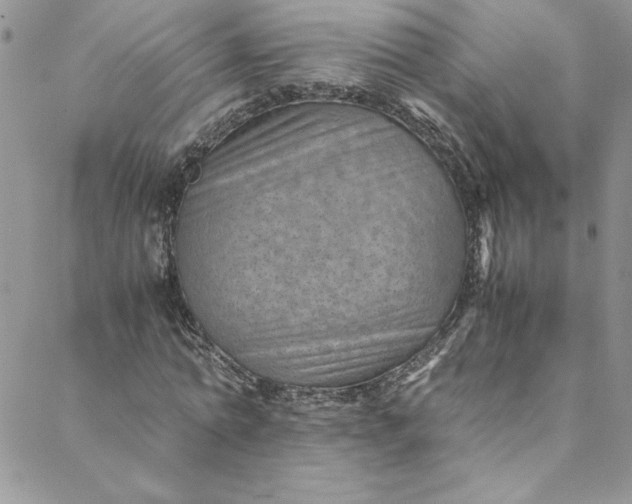 X0000088600774200706081352