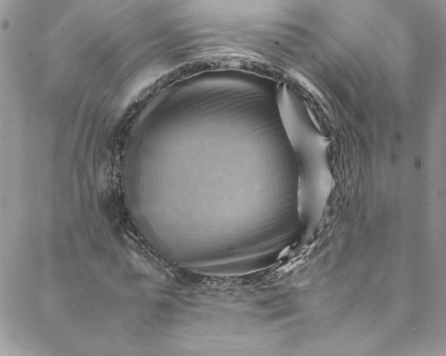 X0000088600775200706081352