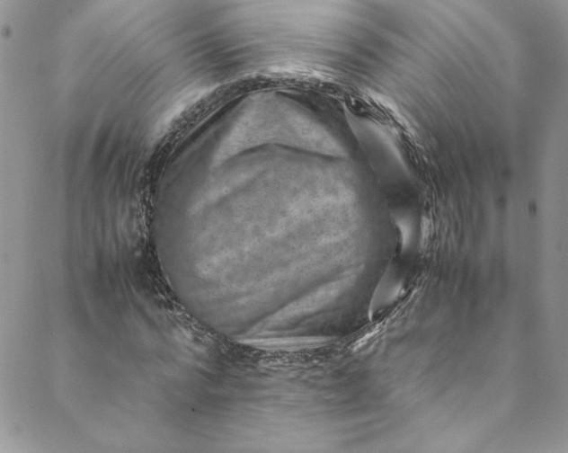 X0000088600776200706081352