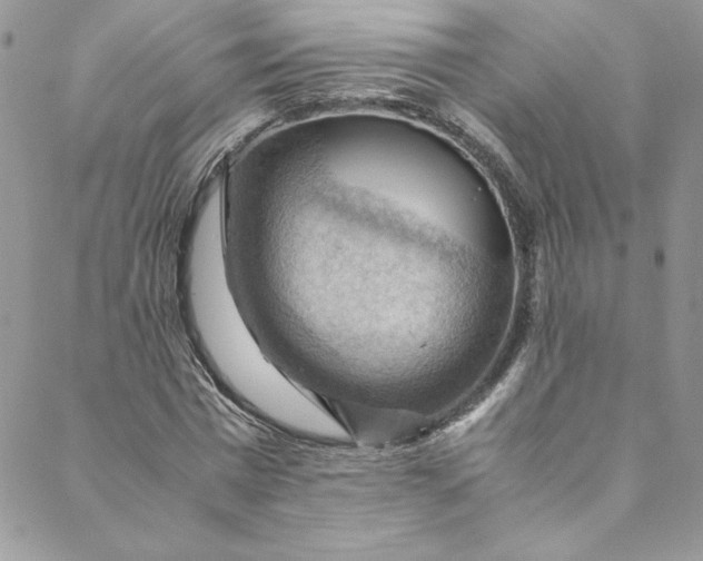 X0000088600777200706081351