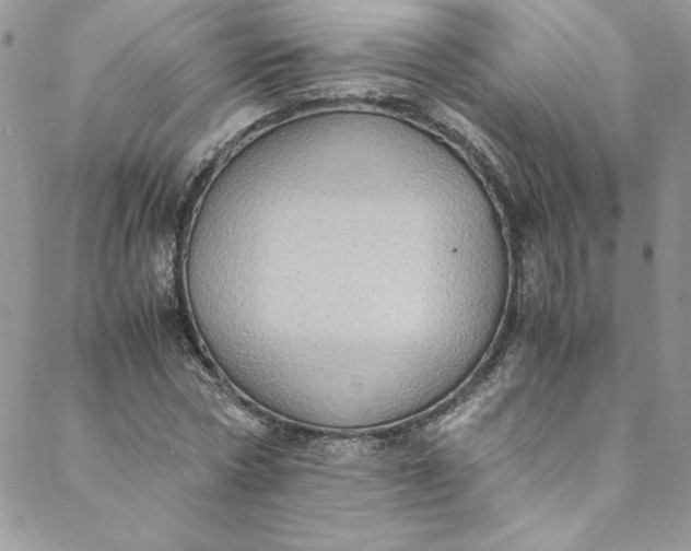 X0000088600778200706081351