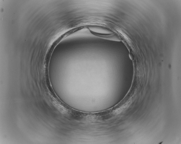 X0000088600779200706081351