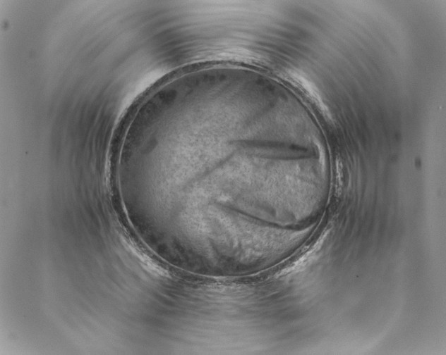 X0000088600780200706081351