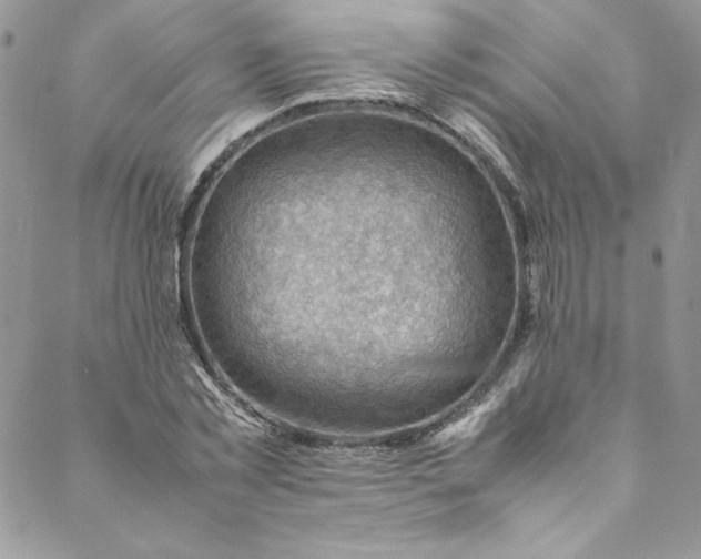 X0000088600781200706081351