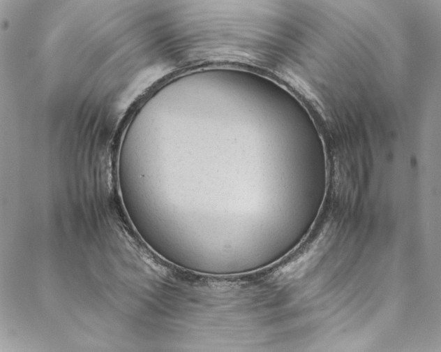 X0000088600782200706081351