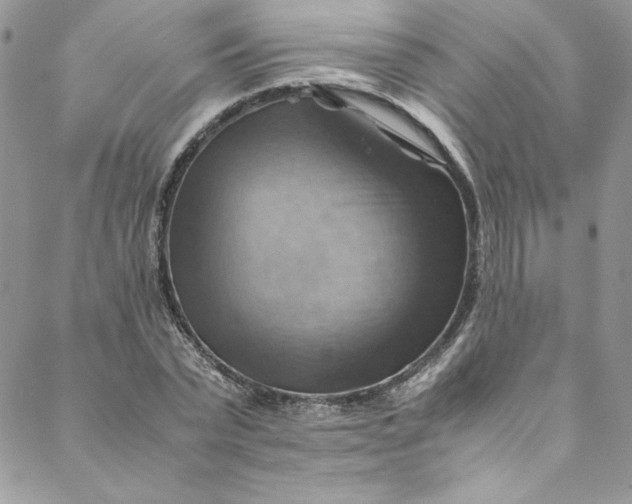 X0000088600783200706081351