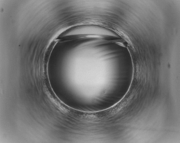 X0000088600784200706081351