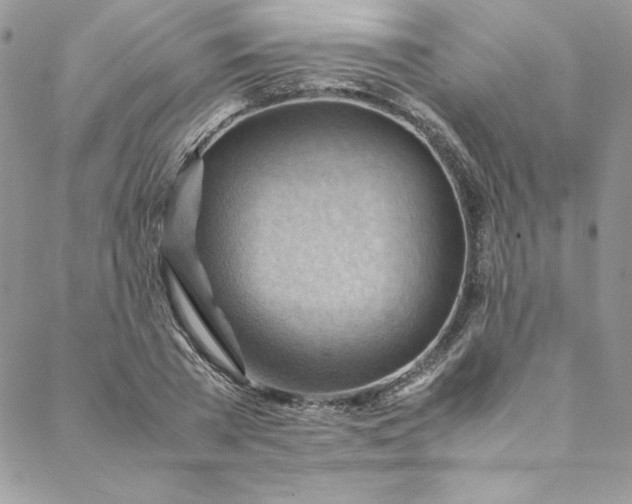 X0000088600785200706081351