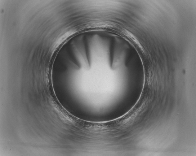 X0000088600786200706081351