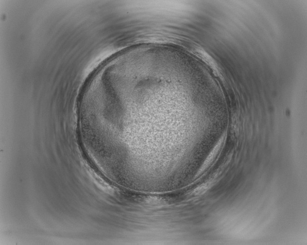 X0000088600787200706081351